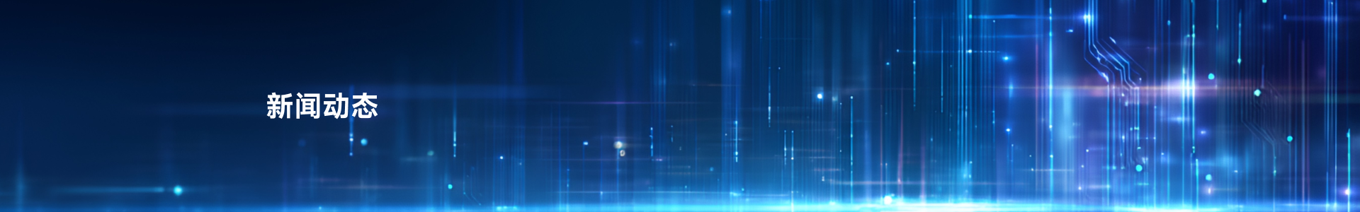 新闻动态